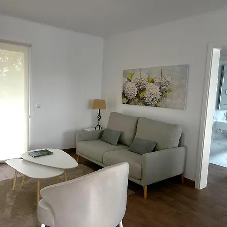 Hortenza - * Pico da Pedra