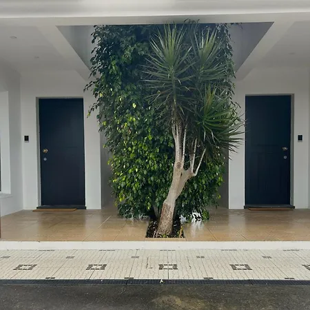 Hortenza - * Pico da Pedra