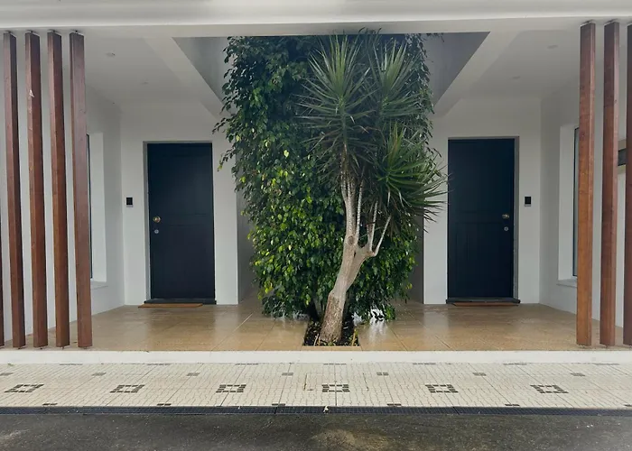 Hortenza - * Pico da Pedra